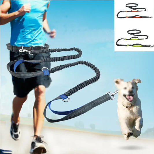 Reflective Hands-Free Dog Leash - Tech Wave Heaven Tech Wave Heaven Tech Wave Heaven