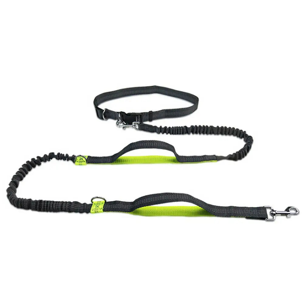 Reflective Hands-Free Dog Leash - Tech Wave Heaven Tech Wave Heaven Tech Wave Heaven