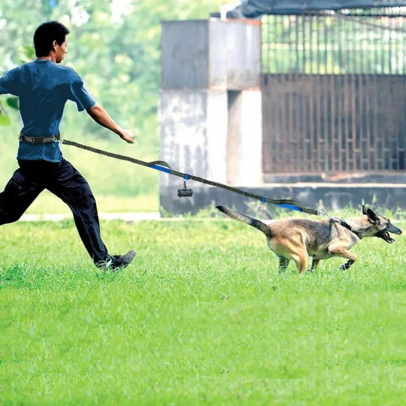 Reflective Hands-Free Dog Leash - Tech Wave Heaven Tech Wave Heaven Tech Wave Heaven