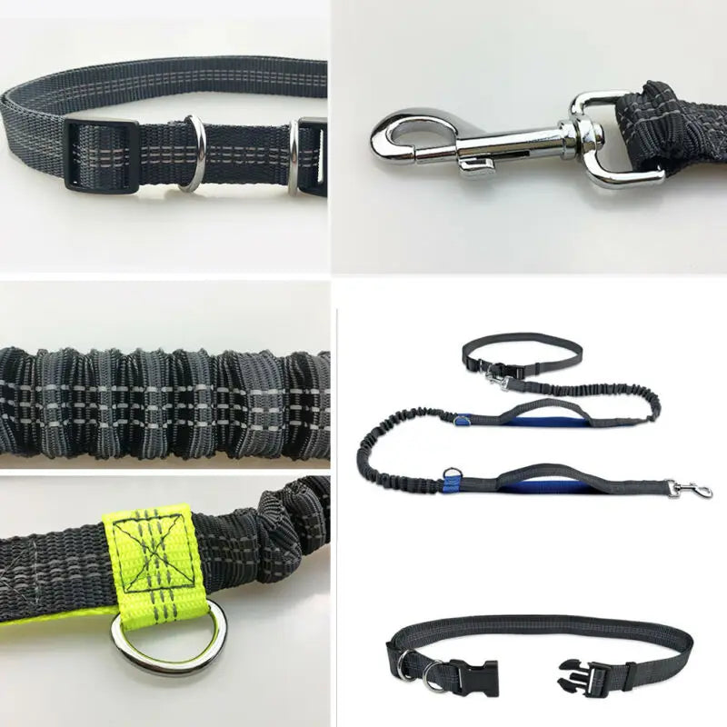 Reflective Hands-Free Dog Leash - Tech Wave Heaven Tech Wave Heaven Tech Wave Heaven