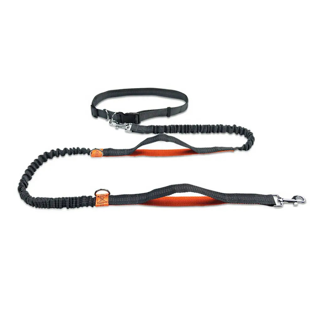 Reflective Hands-Free Dog Leash - Tech Wave Heaven Tech Wave Heaven Tech Wave Heaven